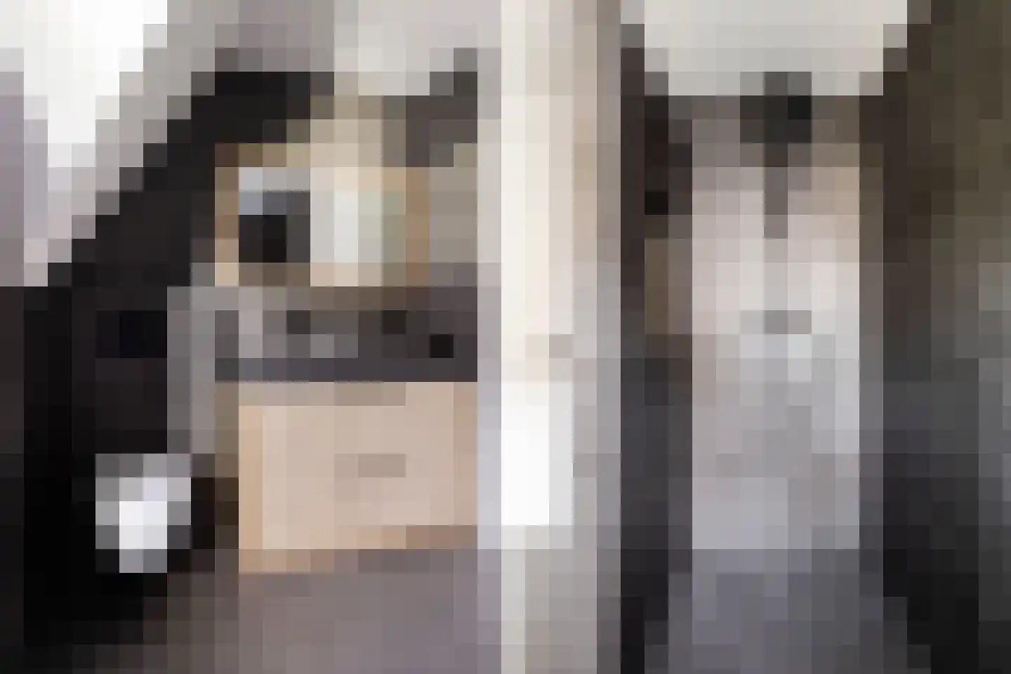 Kraatsweg 66 C Harskamp thumbnail 28