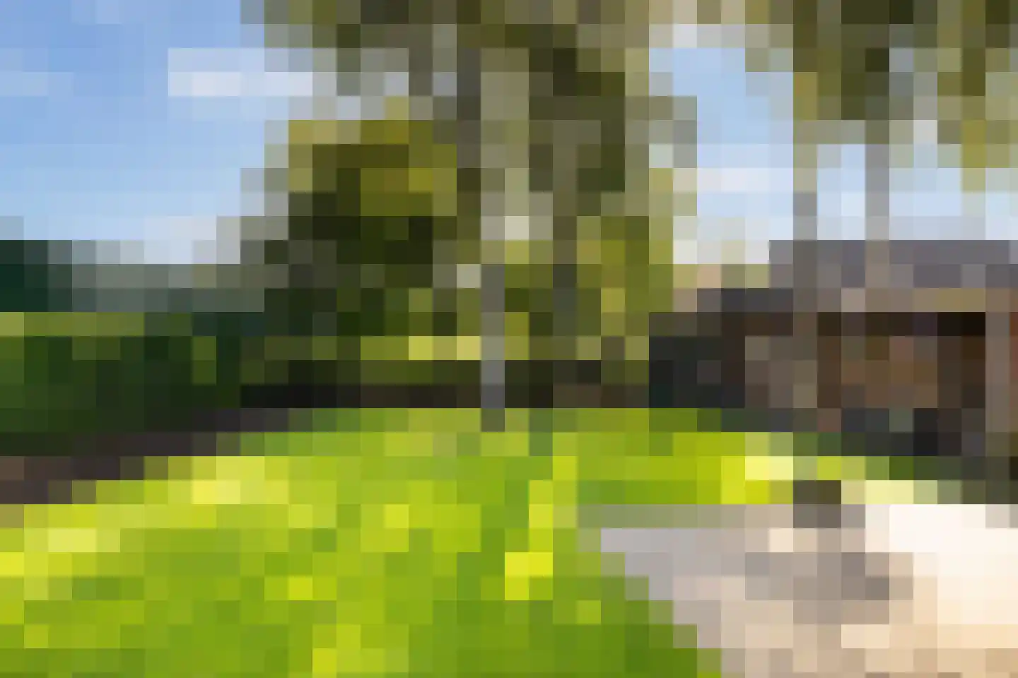 Kraatsweg 66 C Harskamp thumbnail 40