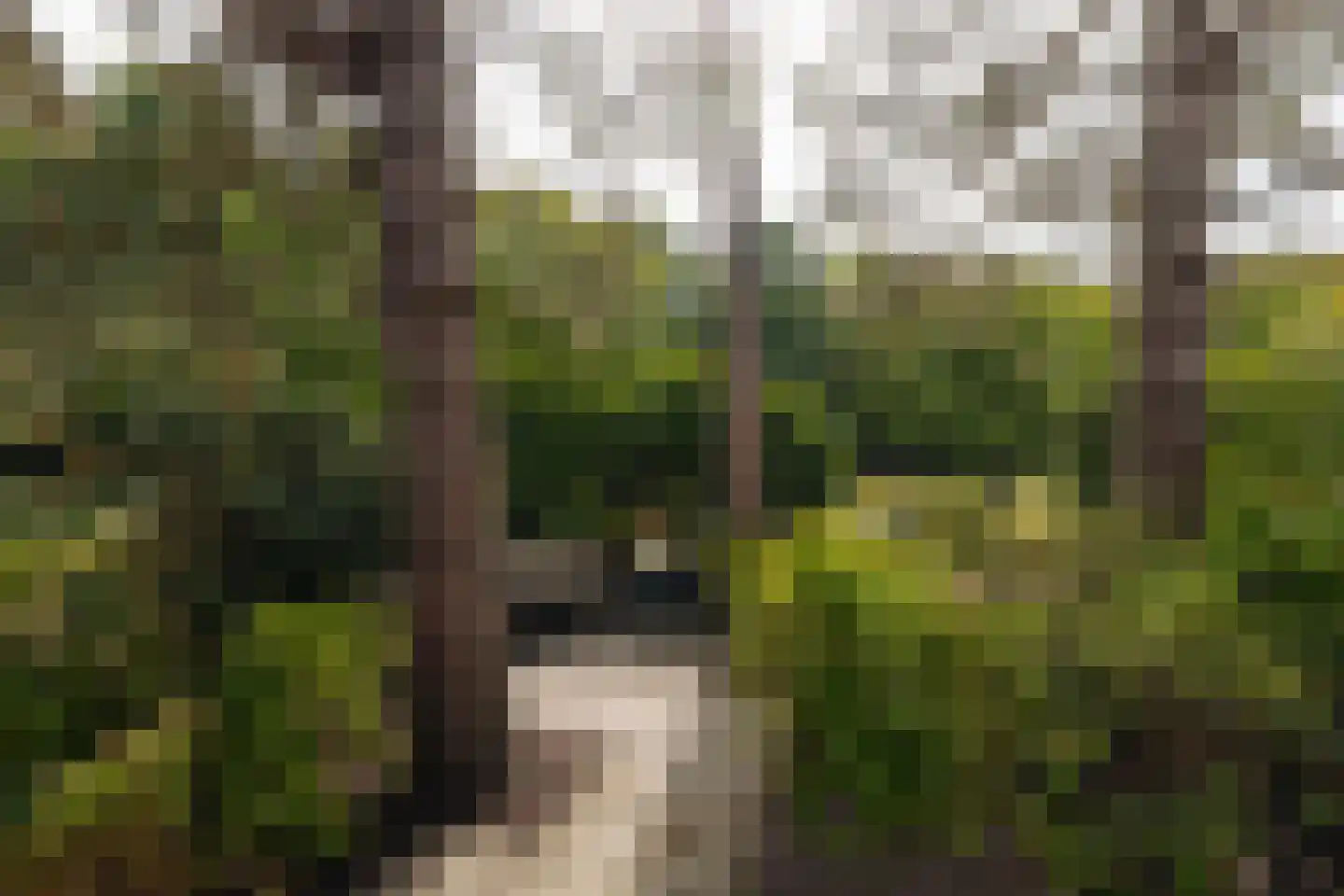 Kraayveld 24 Badhoevedorp thumbnail 53
