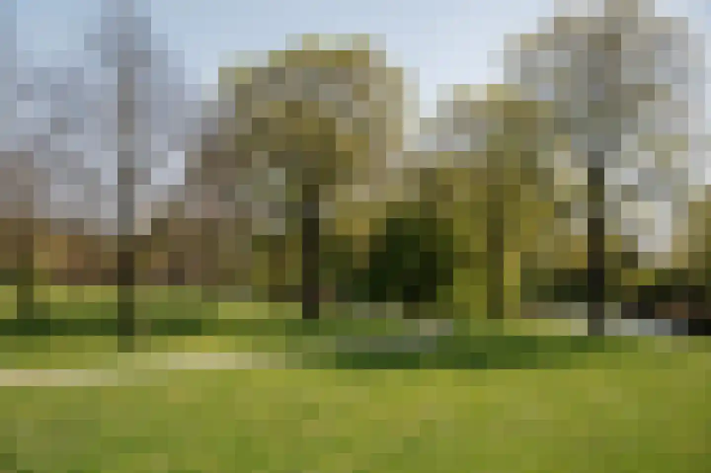 Kraayveld 24 Badhoevedorp thumbnail 61