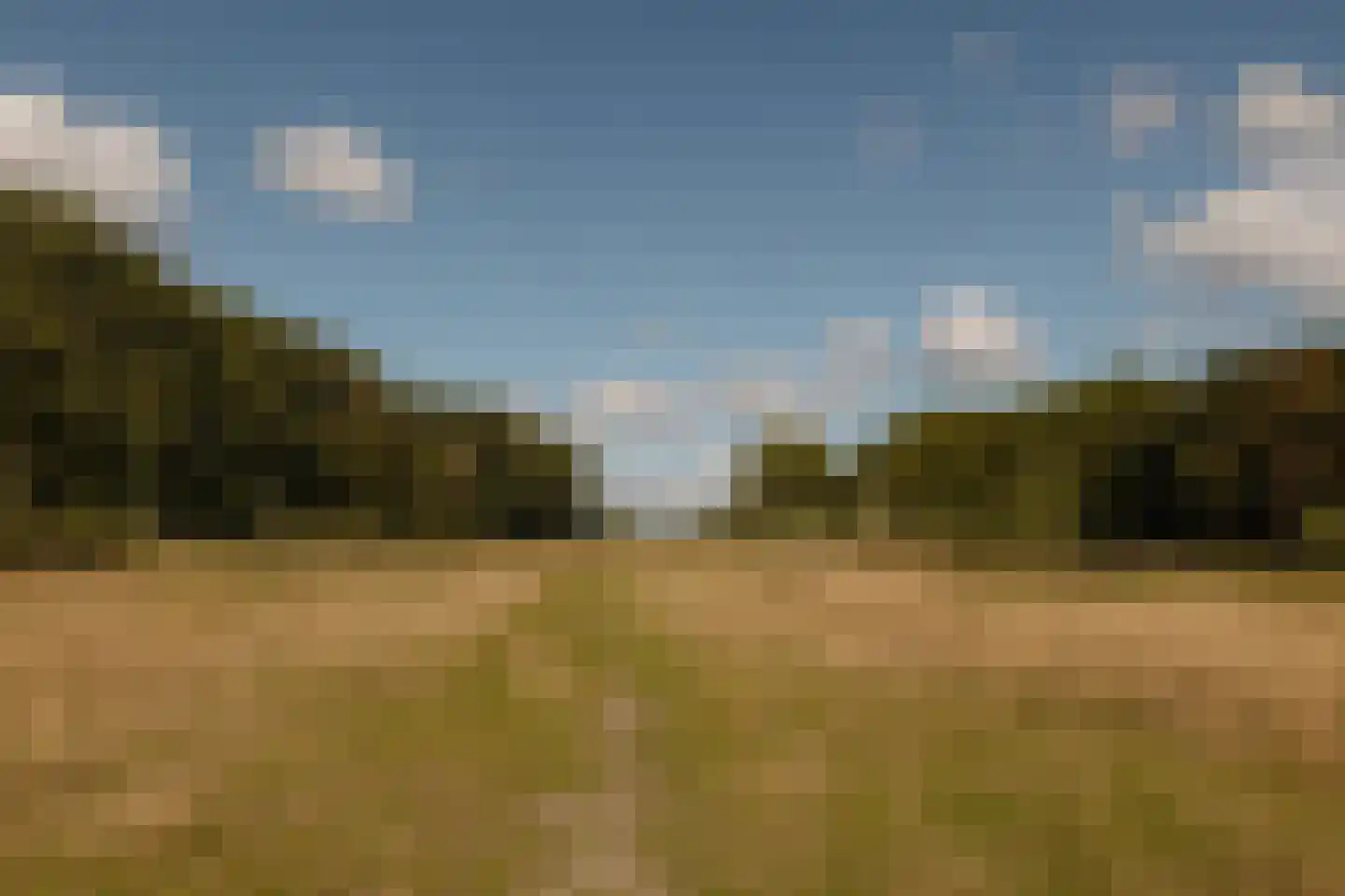 Kraayveld 24 Badhoevedorp thumbnail 64