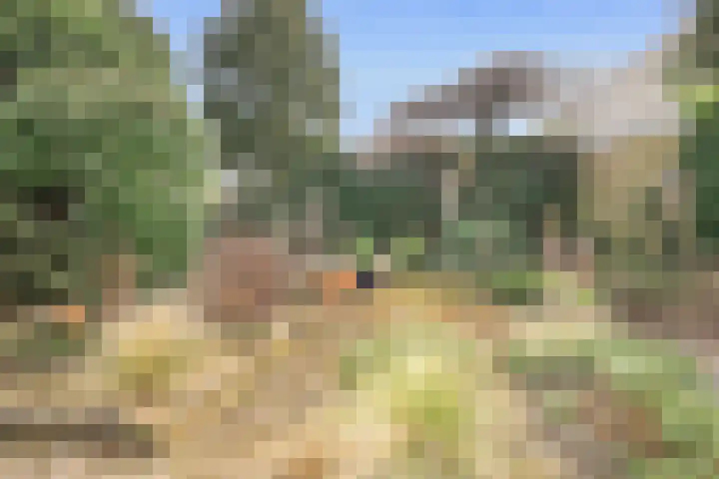 Kraayveld 6 Badhoevedorp thumbnail 8