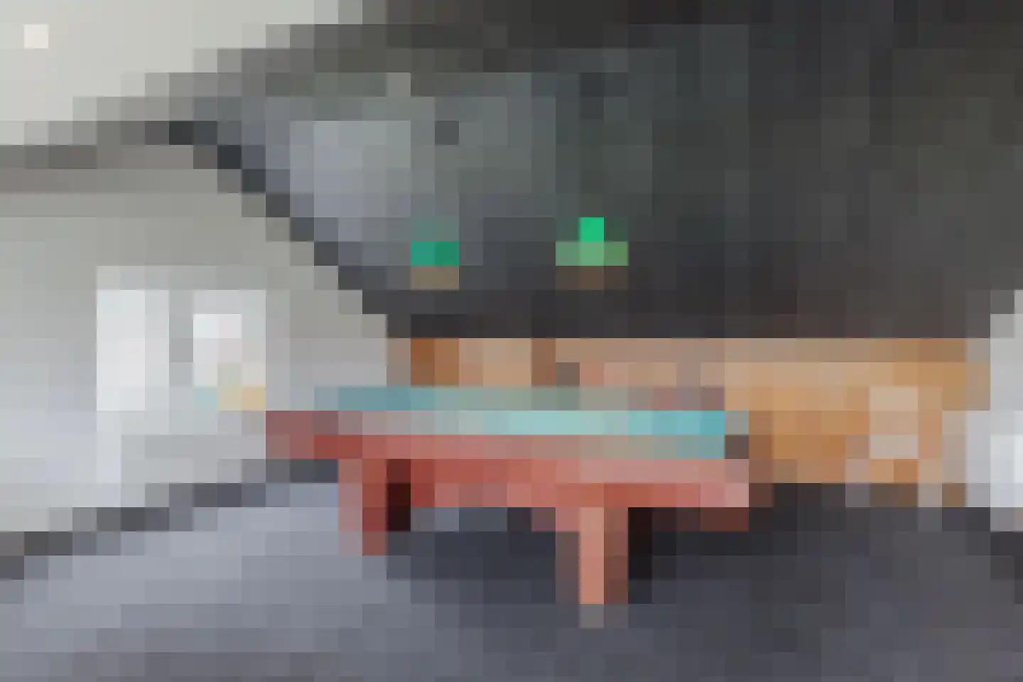 Krab 1 Noord-Scharwoude thumbnail 42