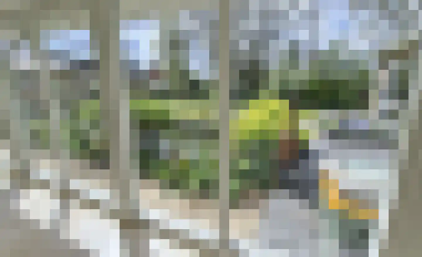 Krab 1 Noord-Scharwoude thumbnail 52