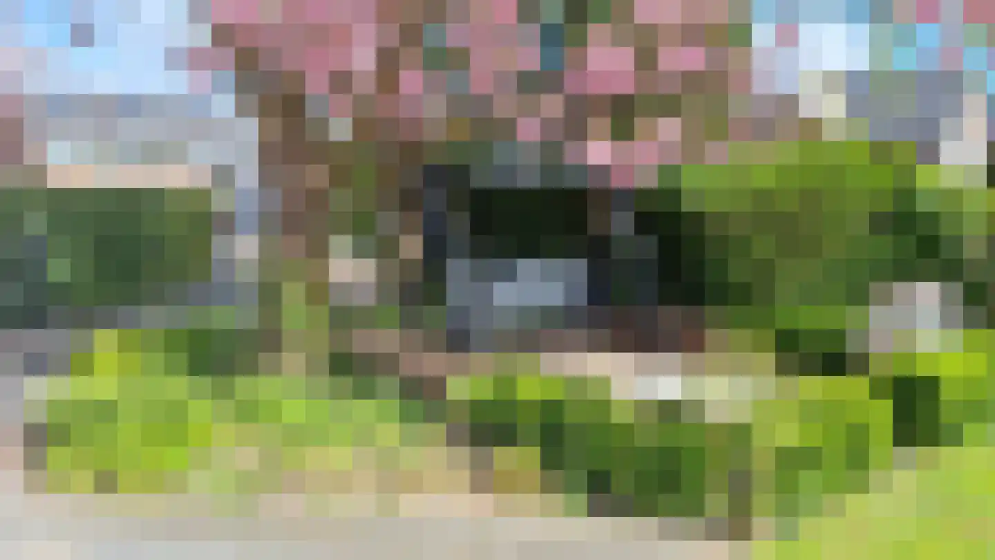 Krab 1 Noord-Scharwoude thumbnail 61