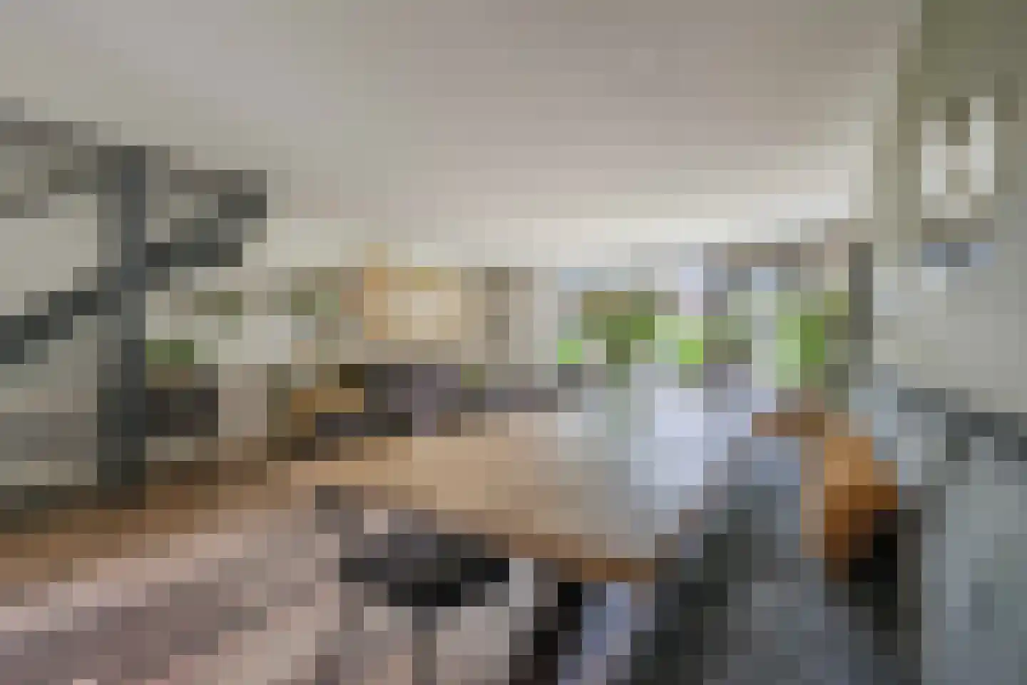 Krab 18 Katwijk thumbnail 7