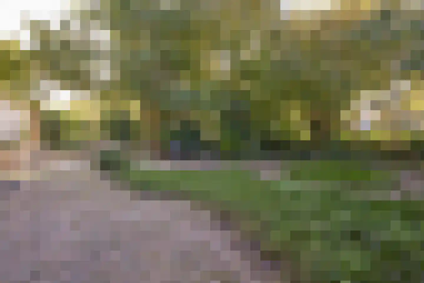 Krab 2 Katwijk thumbnail 10