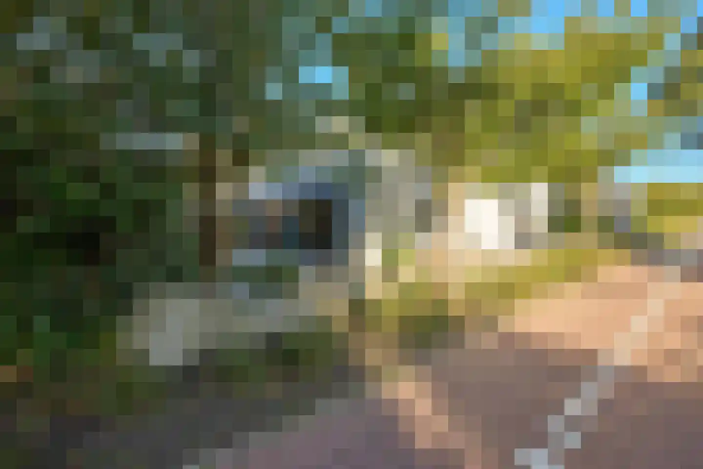 Krab 2 Katwijk thumbnail 11