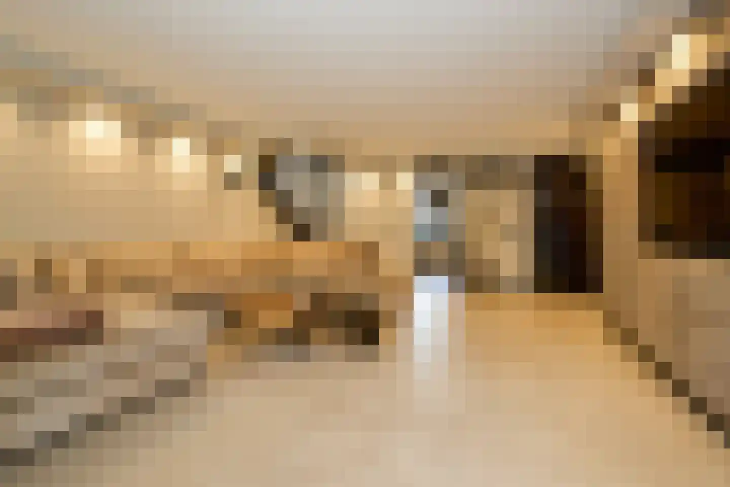 Krab 2 Katwijk thumbnail 18