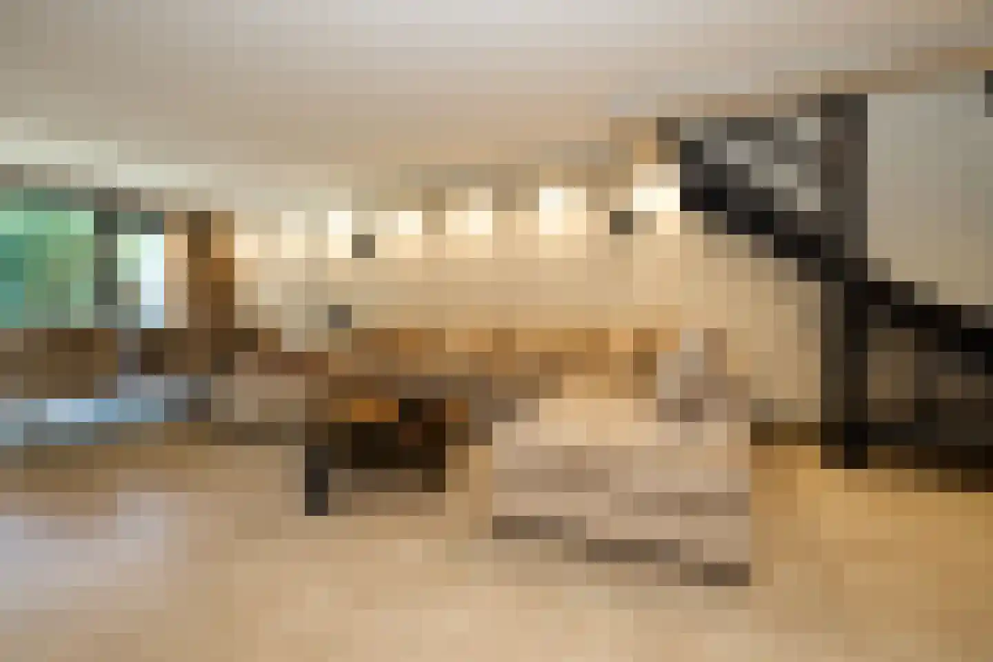 Krab 2 Katwijk thumbnail 19