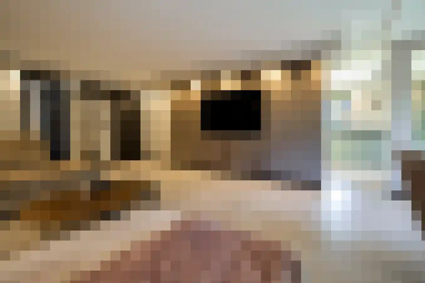 Krab 2 Katwijk thumbnail 20
