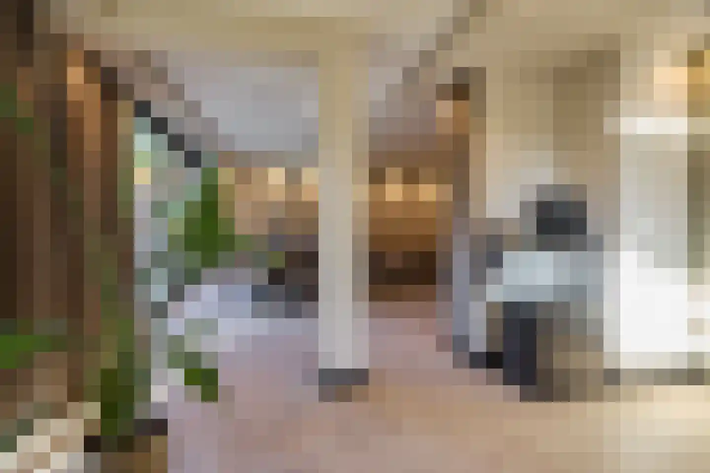 Krab 2 Katwijk thumbnail 25