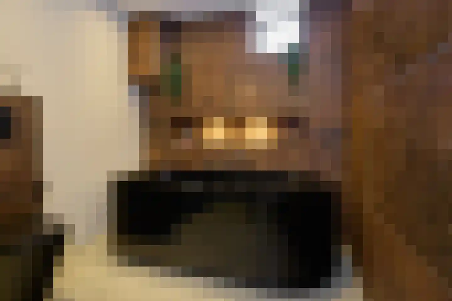 Krab 2 Katwijk thumbnail 35