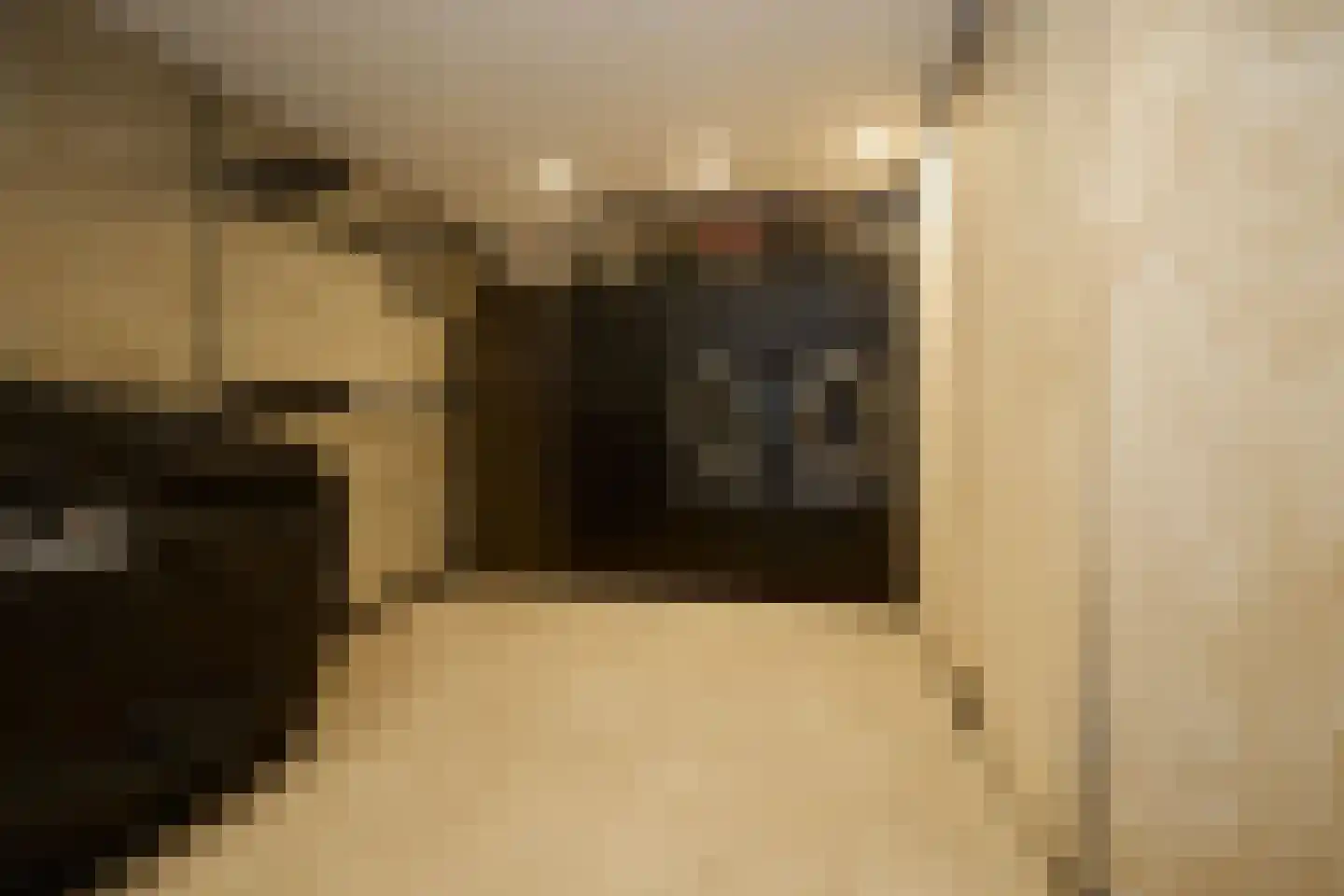 Krab 2 Katwijk thumbnail 46