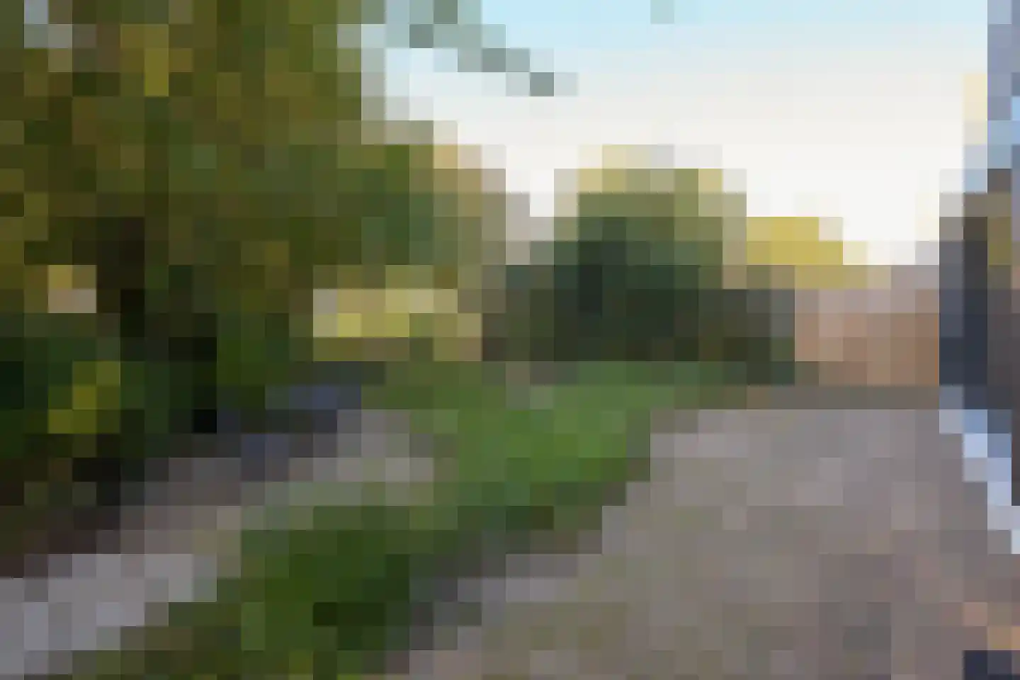 Krab 2 Katwijk thumbnail 49