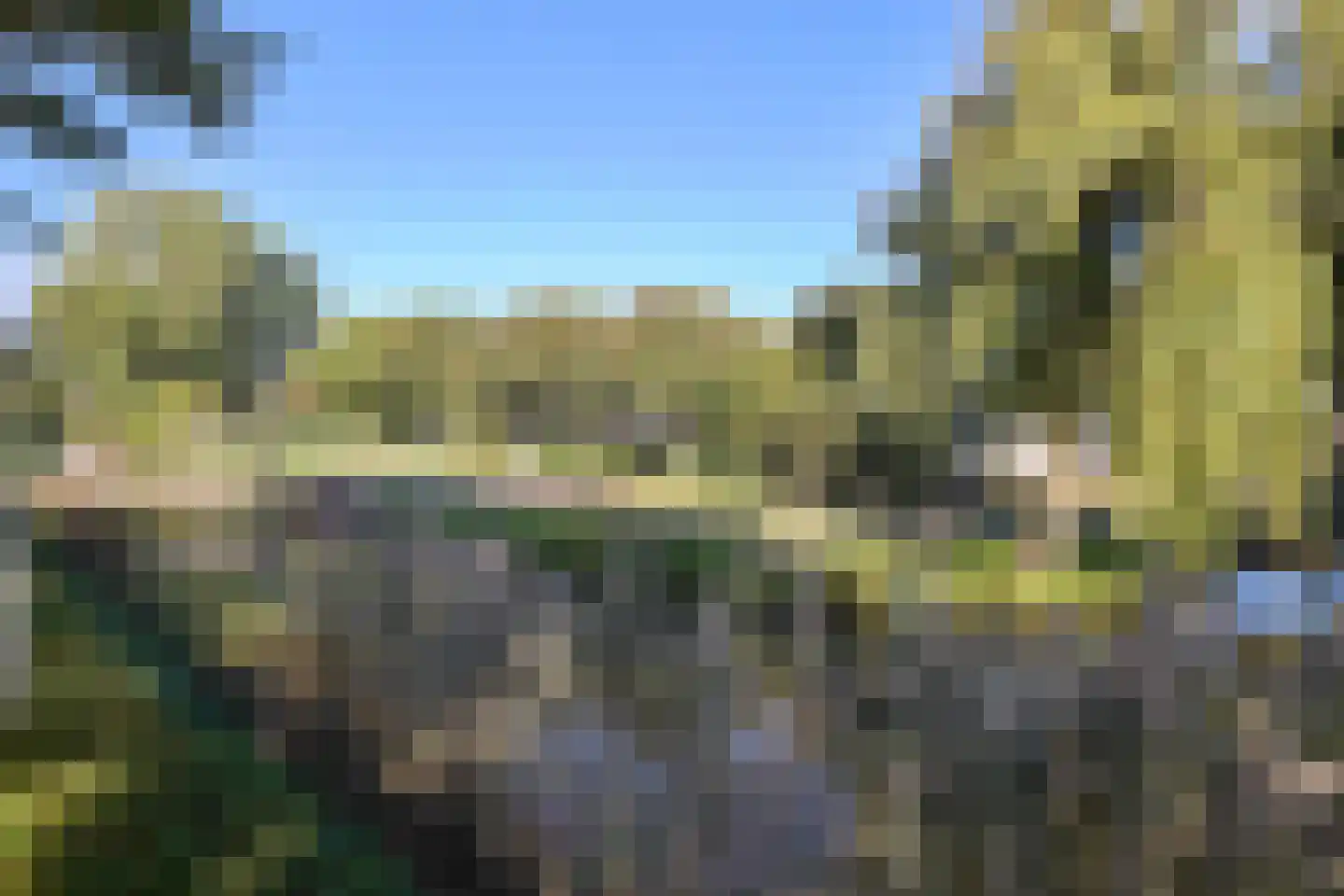 Krab 2 Katwijk thumbnail 54