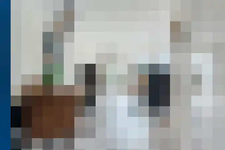 Krab 3 Katwijk thumbnail 15
