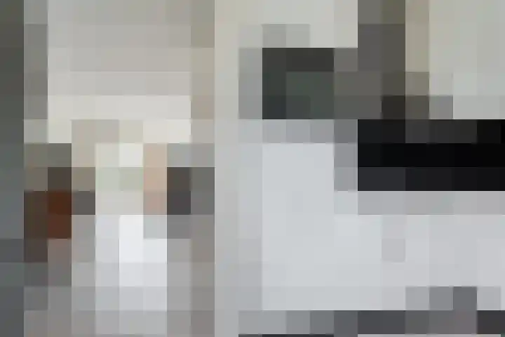 Krab 3 Katwijk thumbnail 18