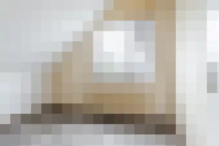 Krab 3 Katwijk thumbnail 30