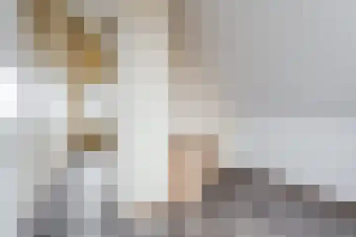 Krab 3 Katwijk thumbnail 31