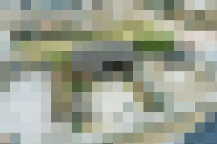 Krab 3 Katwijk thumbnail 34