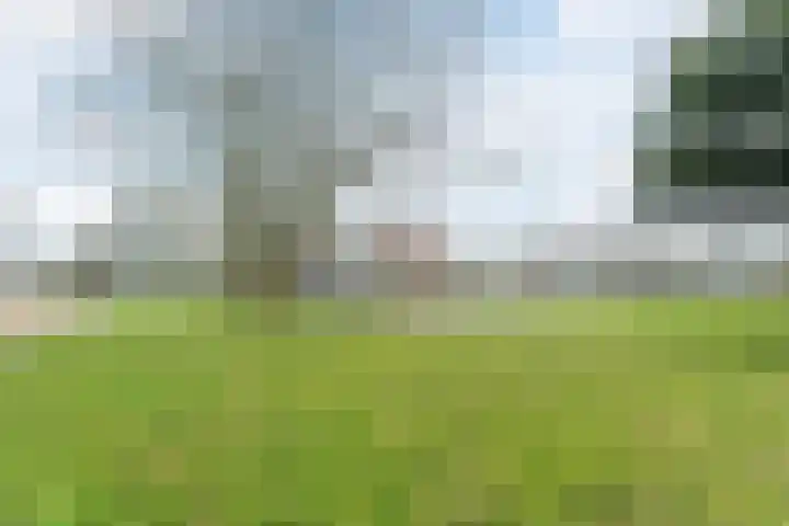 Krab 3 Katwijk thumbnail 39