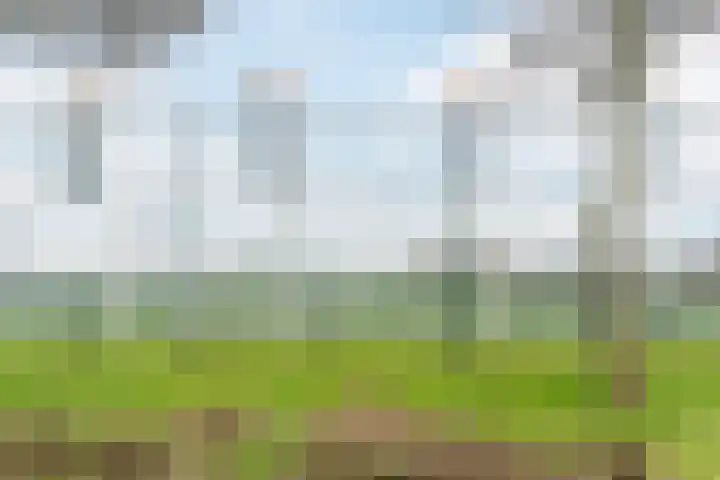 Krab 3 Katwijk thumbnail 40
