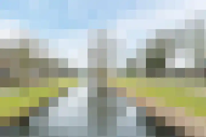 Krab 3 Katwijk thumbnail 42
