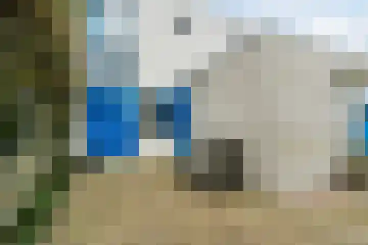 Krab 3 Katwijk thumbnail 7
