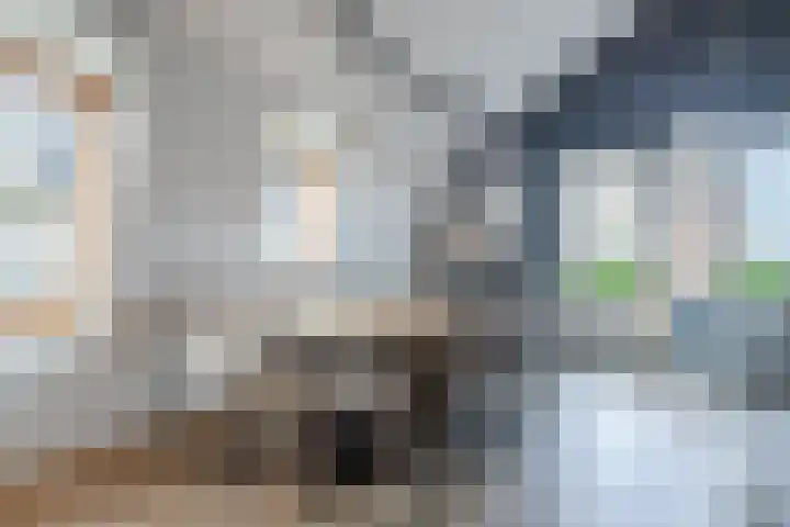 Krab 47 Noord-Scharwoude thumbnail 12
