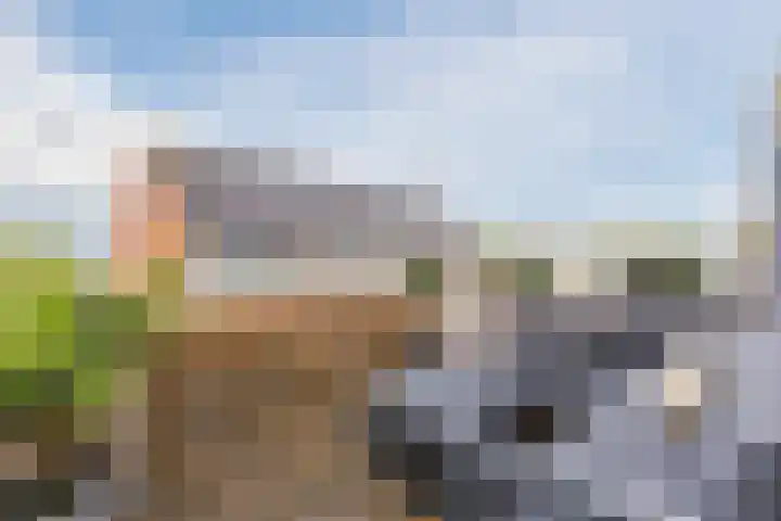 Krab 47 Noord-Scharwoude thumbnail 29
