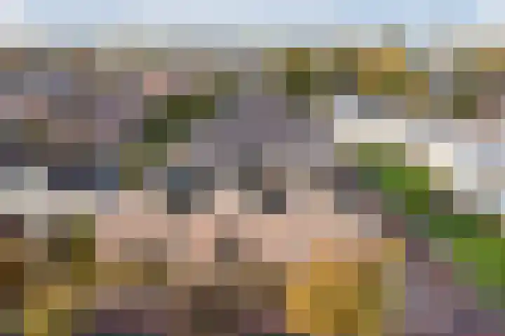 Krab 47 Noord-Scharwoude thumbnail 38