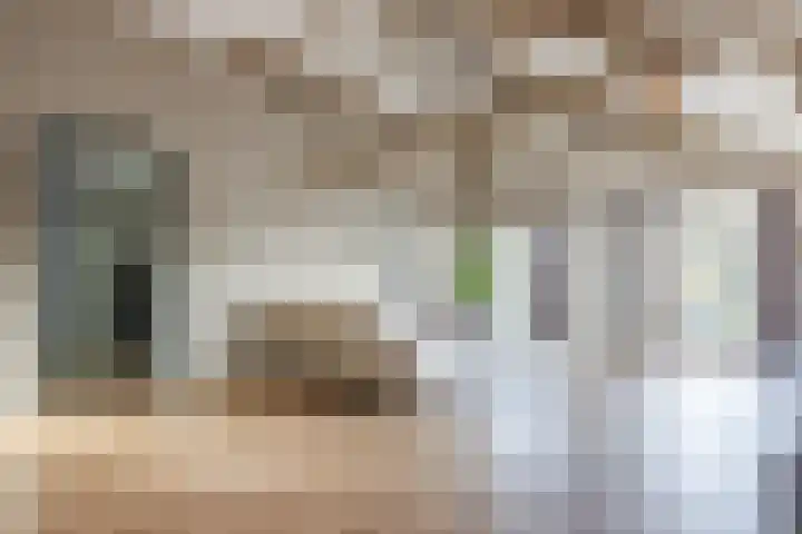 Krab 47 Noord-Scharwoude thumbnail 8