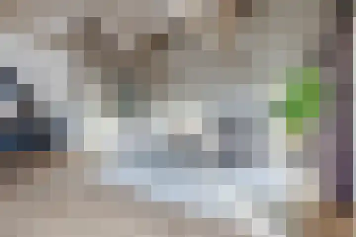 Krab 47 Noord-Scharwoude thumbnail 9