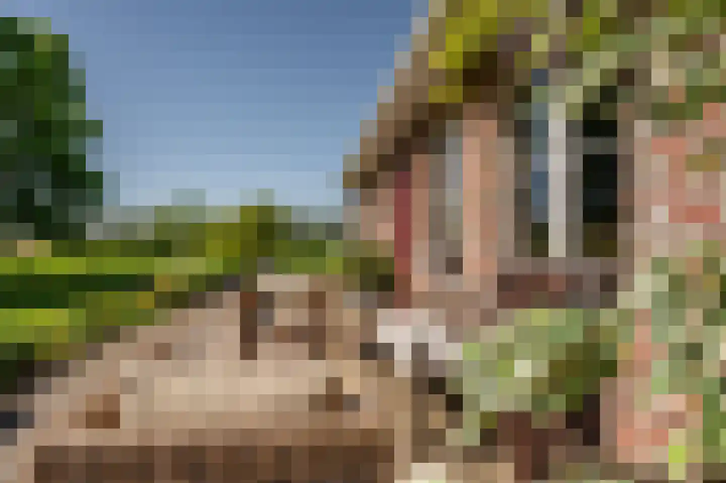 Krabbegatweg 2 Biervliet thumbnail 10