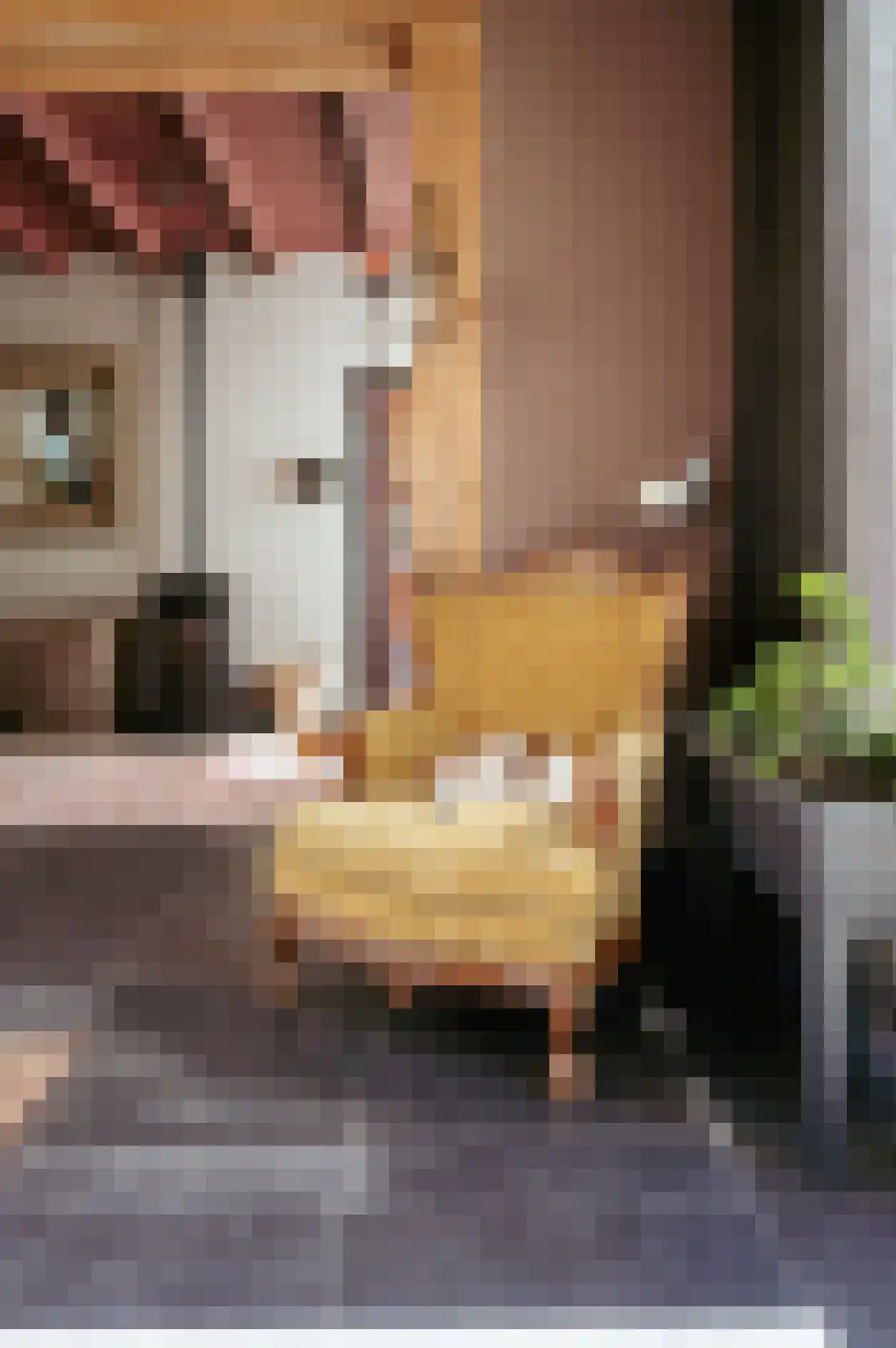 Krabbegatweg 2 Biervliet thumbnail 24