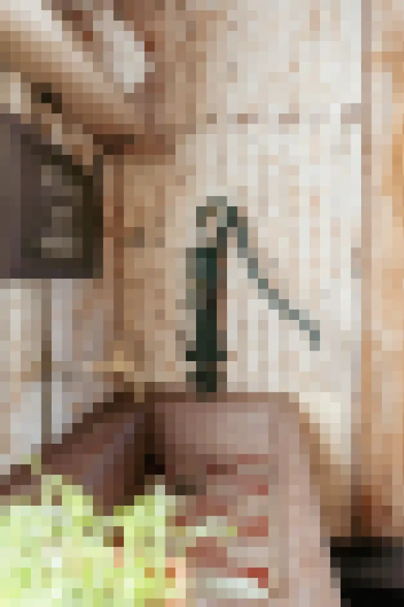 Krabbegatweg 2 Biervliet thumbnail 28