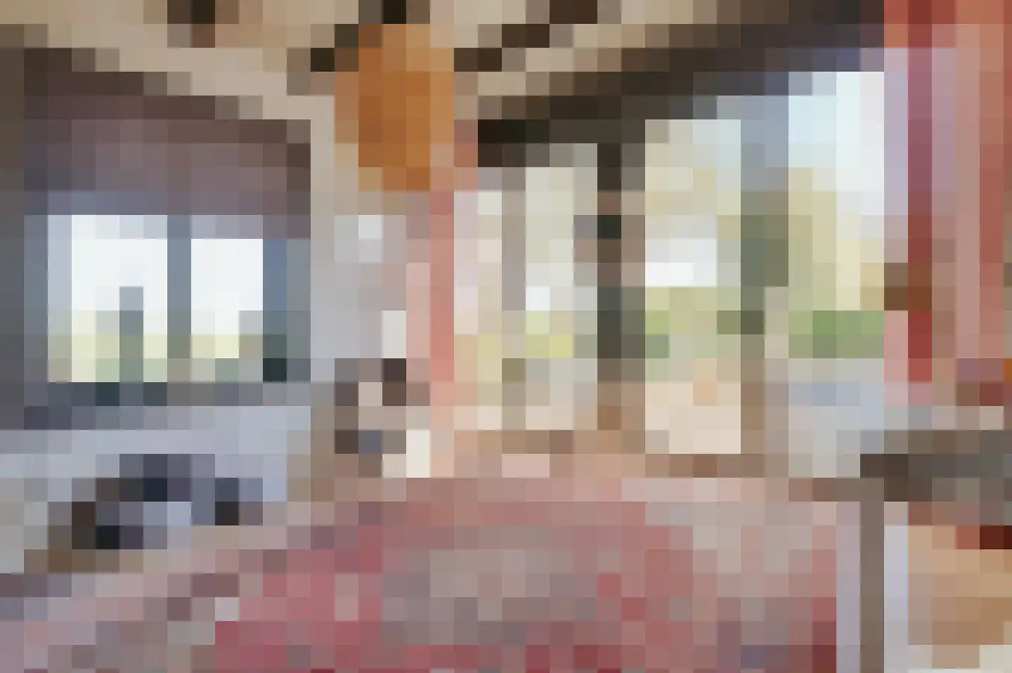 Krabbegatweg 2 Biervliet thumbnail 32