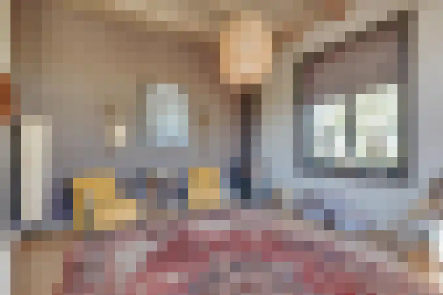 Krabbegatweg 2 Biervliet thumbnail 33