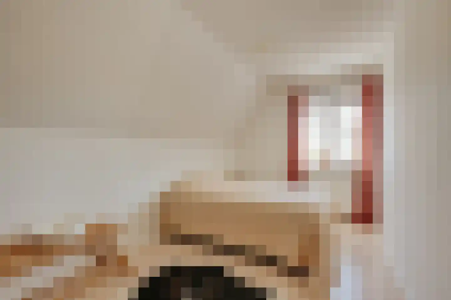 Krabbegatweg 2 Biervliet thumbnail 38
