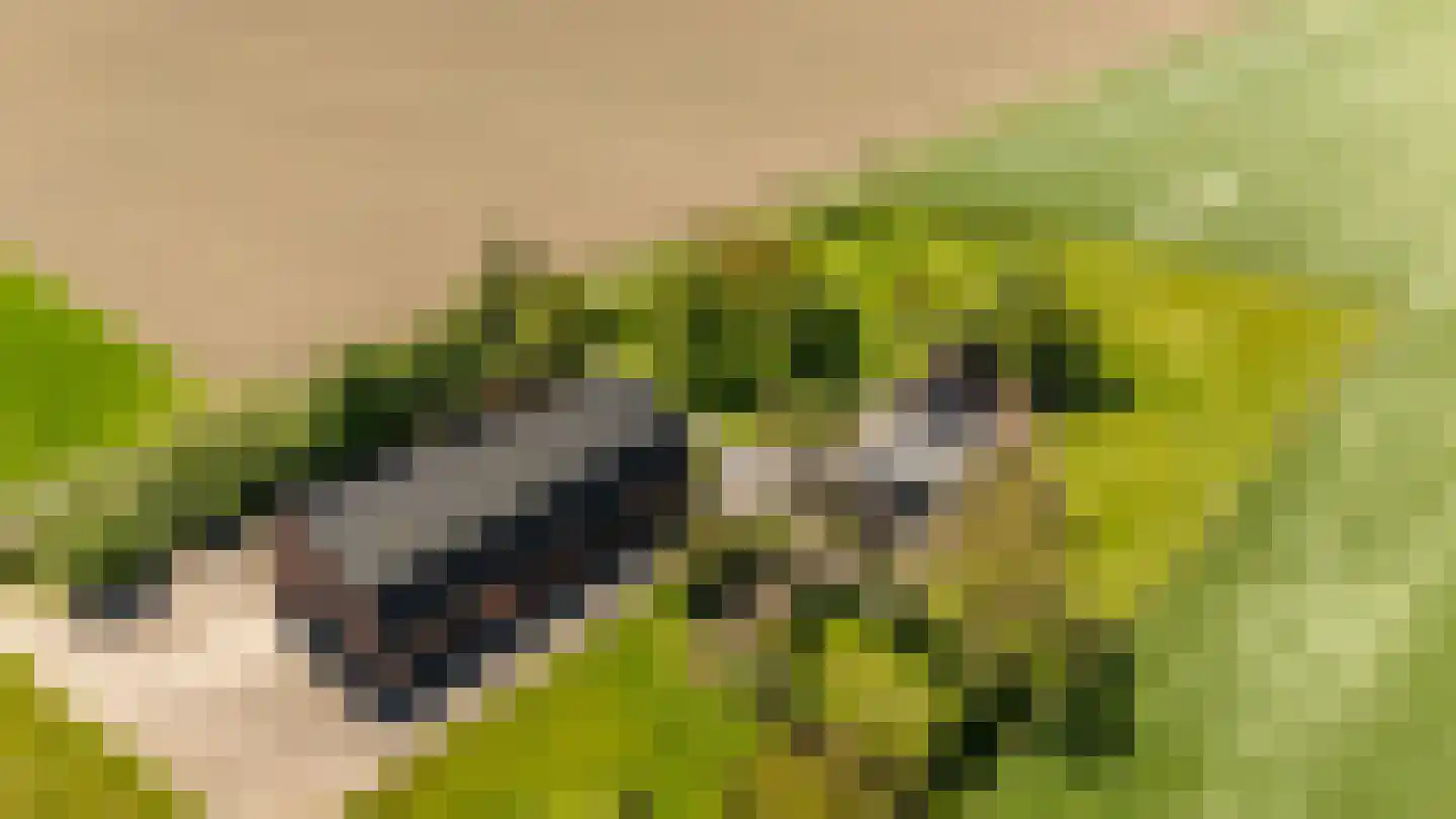 Krabbegatweg 2 Biervliet thumbnail 4