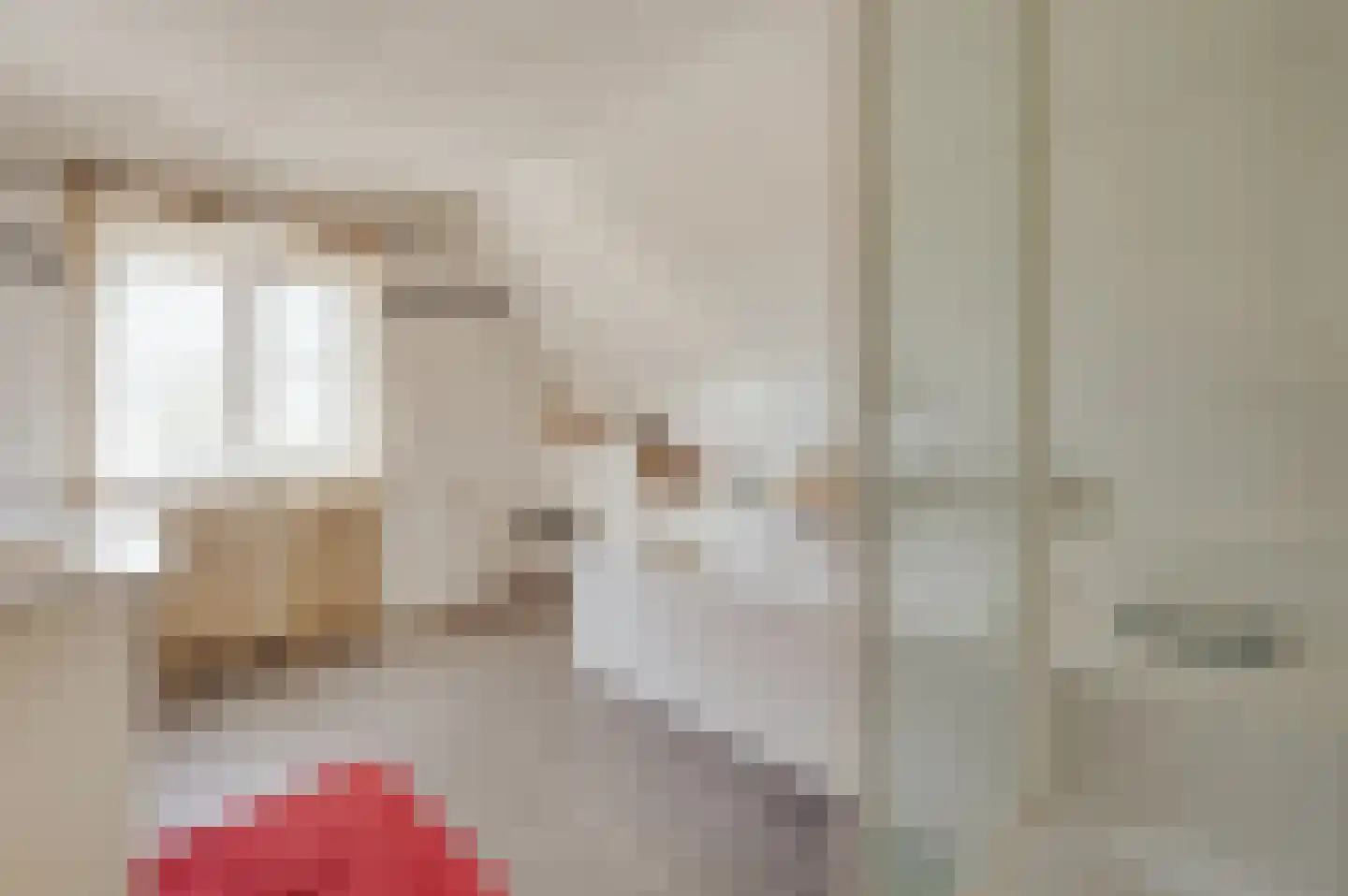 Krabbegatweg 2 Biervliet thumbnail 42