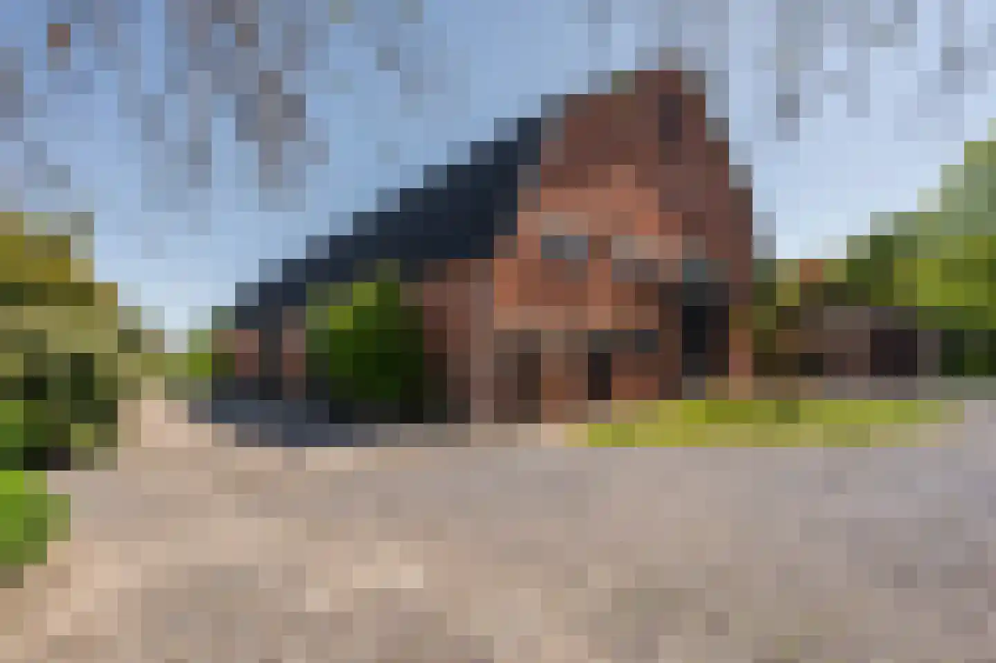 Krabbegatweg 2 Biervliet thumbnail 43