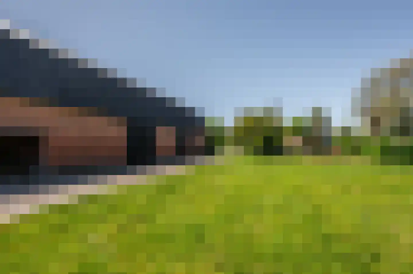 Krabbegatweg 2 Biervliet thumbnail 44