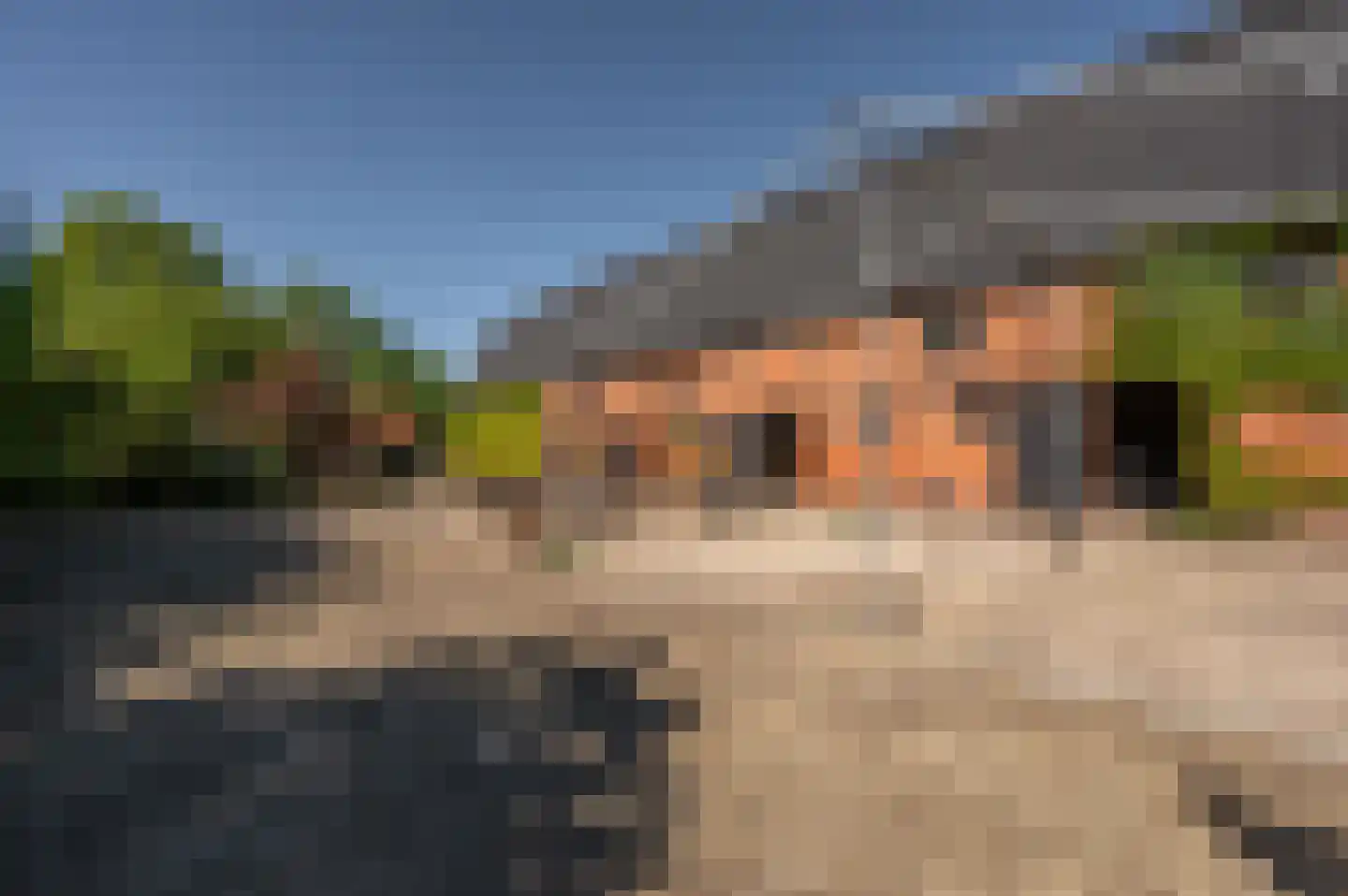 Krabbegatweg 2 Biervliet thumbnail 49