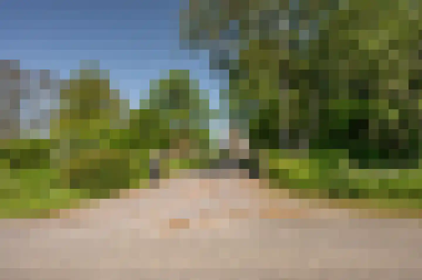 Krabbegatweg 2 Biervliet thumbnail 5