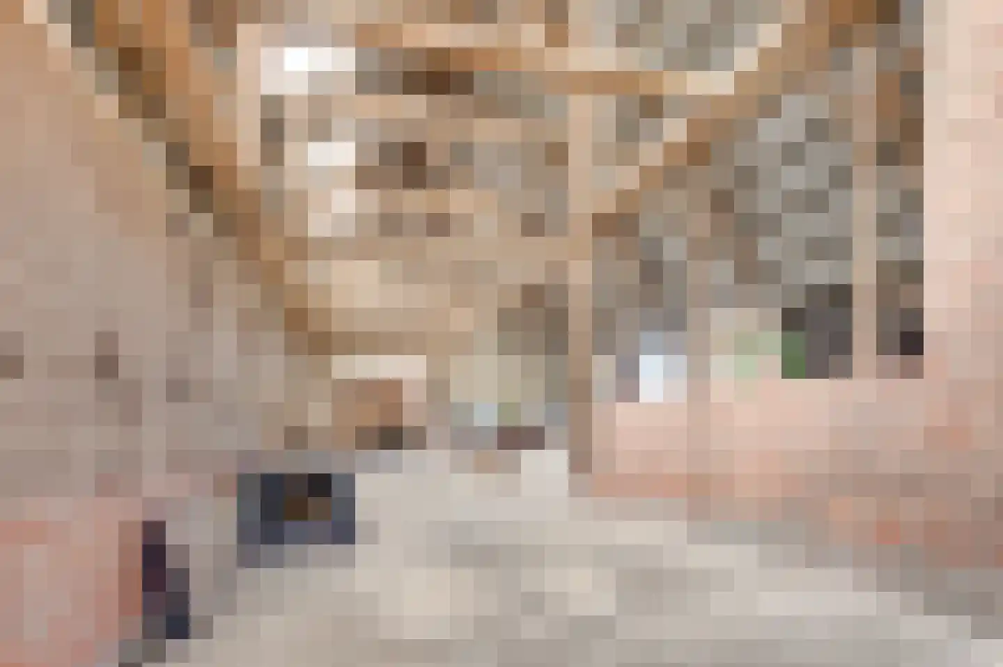 Krabbegatweg 2 Biervliet thumbnail 52