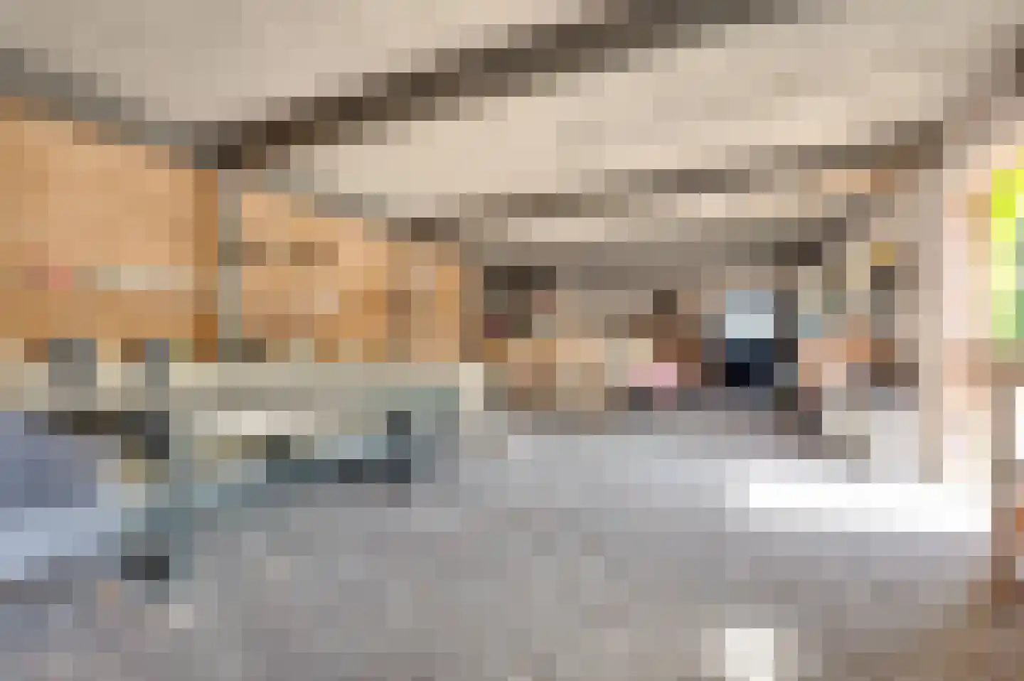 Krabbegatweg 2 Biervliet thumbnail 54
