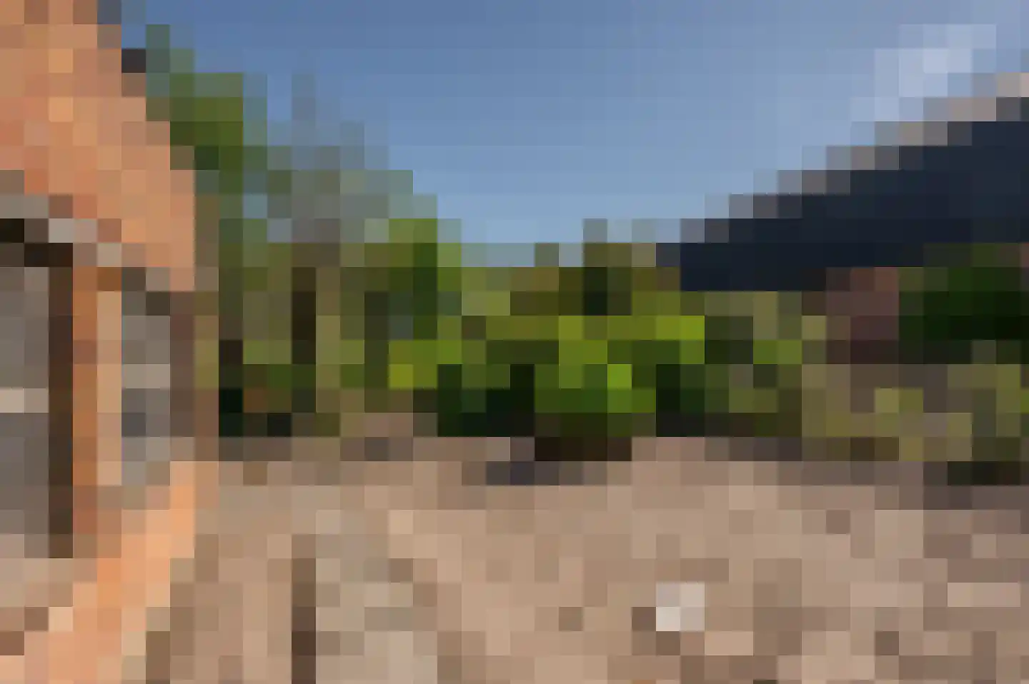 Krabbegatweg 2 Biervliet thumbnail 57