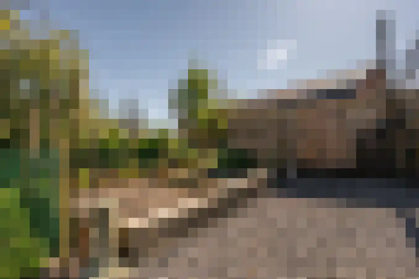 Krabbegatweg 2 Biervliet thumbnail 59